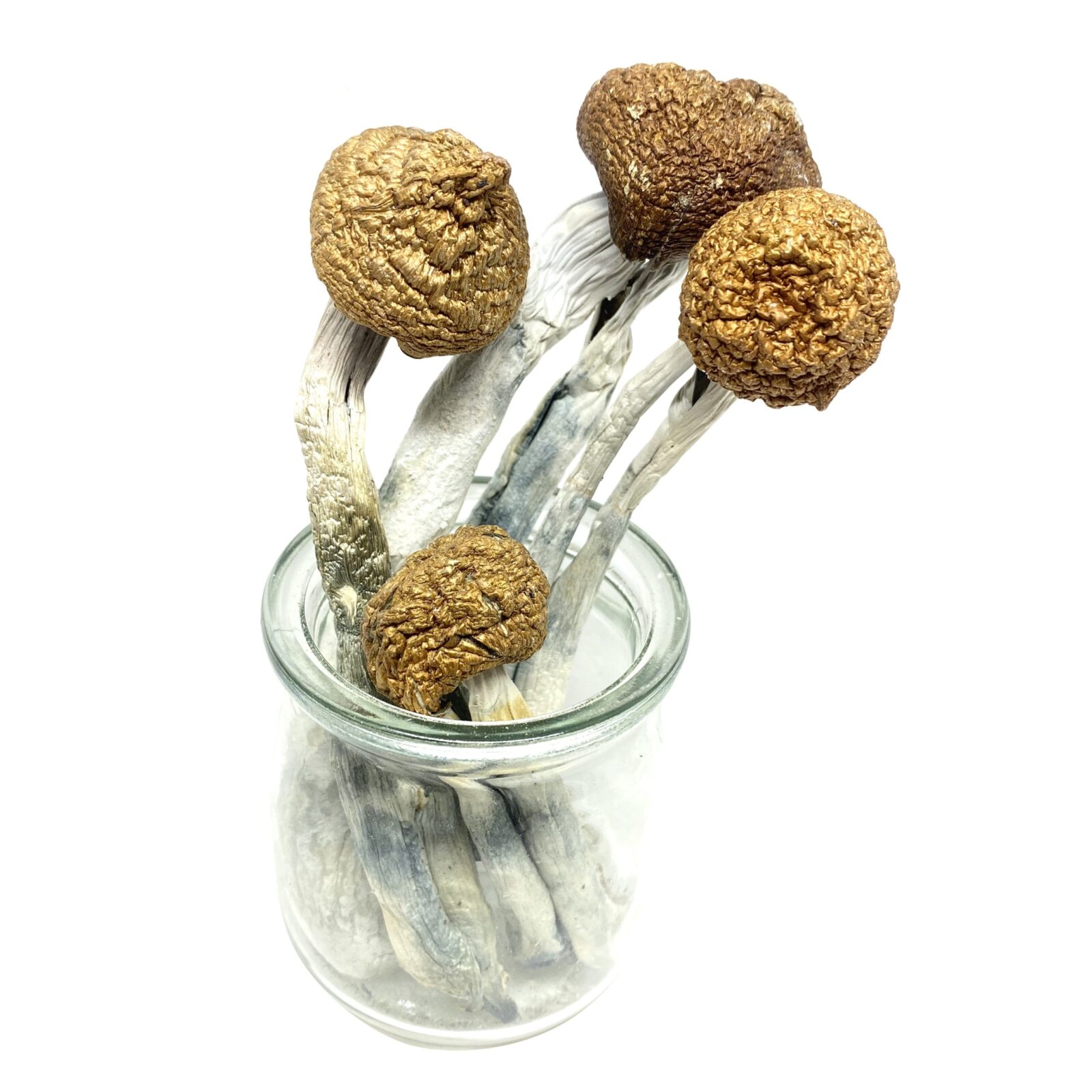MCKENNAII CUBENSIS STRAIN - Image 2