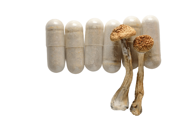 B+ Cubensis capsules for sale